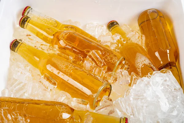 Top View Bottles Beer Case Ice — Stock Photo, Image