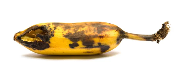 成熟的香蕉由白色昆虫咬伤 — 图库照片