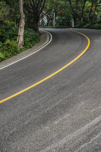 Curved road with trees on both sides — Stock Photo, Image