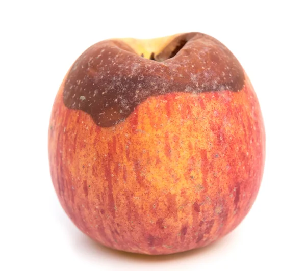 Manzana podrida sobre un fondo blanco —  Fotos de Stock