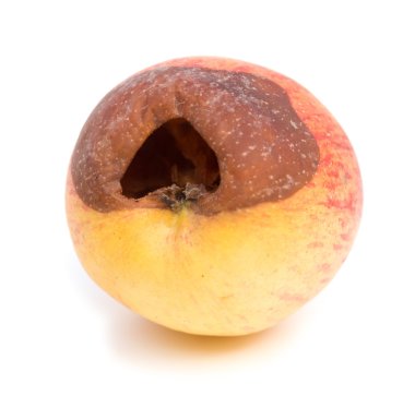 Beyaz arka planda çürük elma