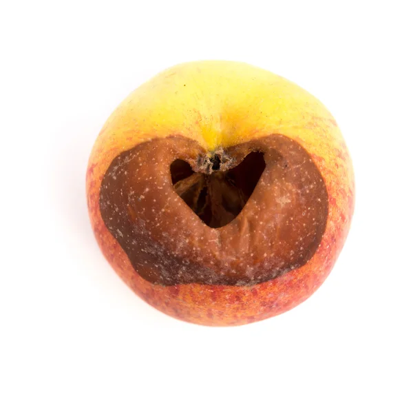 Shnilé jablko na bílém pozadí — Stock fotografie