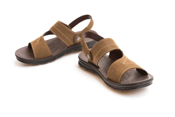 Pair of brown leisure sandal on white background Royalty Free Stock Photos