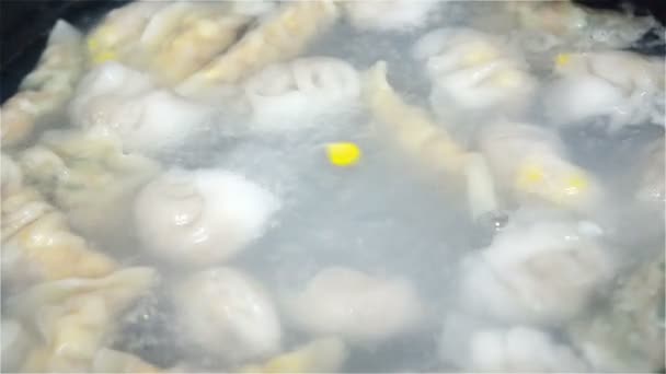 在平底锅里煮肉饺子 — 图库视频影像