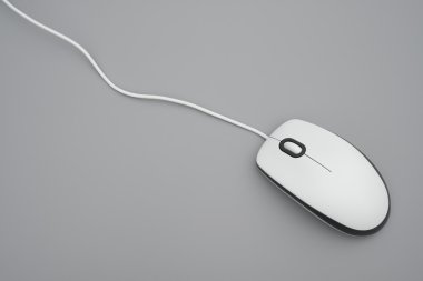 White mouse on a grey background