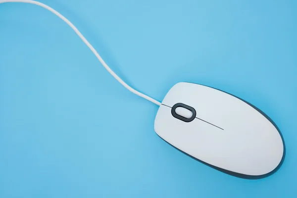 Vita musen på en blå bakgrund — Stockfoto