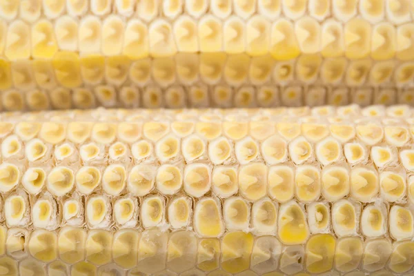 COB cornstick på nära håll som bakgrund — Stockfoto