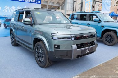 ZHONGSHAN GUANGDONG Çin - 24 Ekim 2025: gri bir BYD Formula Leopar Tai 7 arabası.