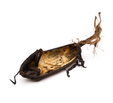 Tam böcek beyaz kapatma tarafından yemiş olgun muz