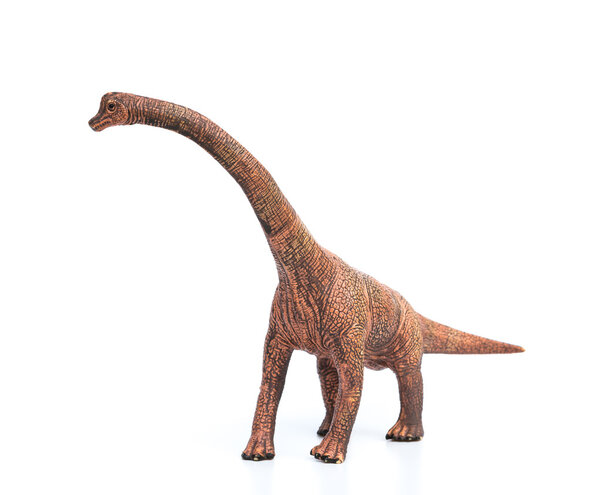 brachiosaurus toy on a white background