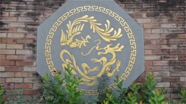 Anka kuşu ve yakınlaştırma dragon