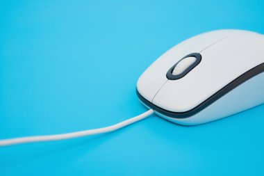 mavi bir arka plan üzerinde beyaz fare