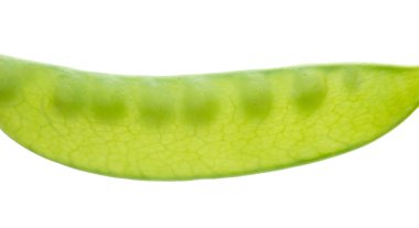 Beyaz bir arka plan üzerinde kar bezelye kadar kapatın