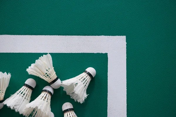 Used shuttlecocks inside the edge of a badminton courts — Stock Photo, Image