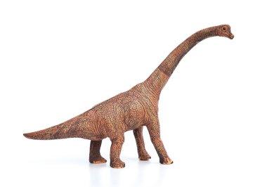 Brachiosaurus oyuncak beyaz bir arka plan üzerinde