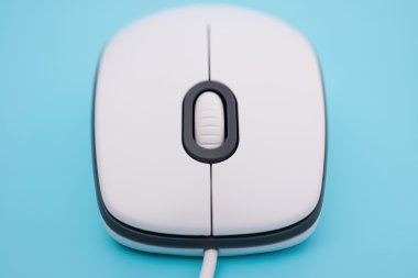 mavi bir arka plan üzerinde beyaz fare yakın çekim Önden Görünüm