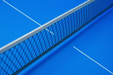 Mavi pingpong masaya net