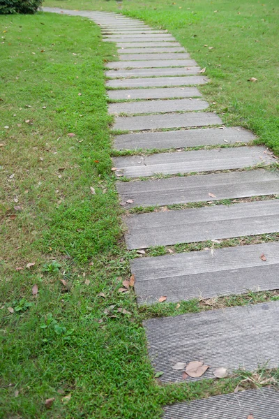 Caminho em um parque — Fotografia de Stock