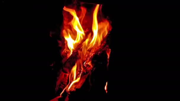 Leña ardiendo en una estufa de estilo antiguo 4K — Vídeo de stock