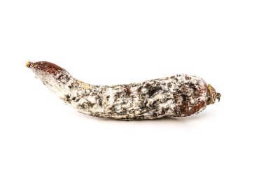 çürük ve küflü havuç beyaz bir arka plan