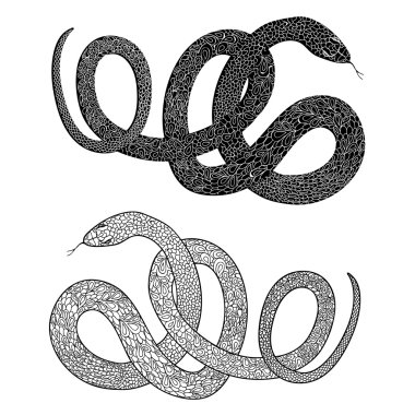 Ornamental decorated snakes vector