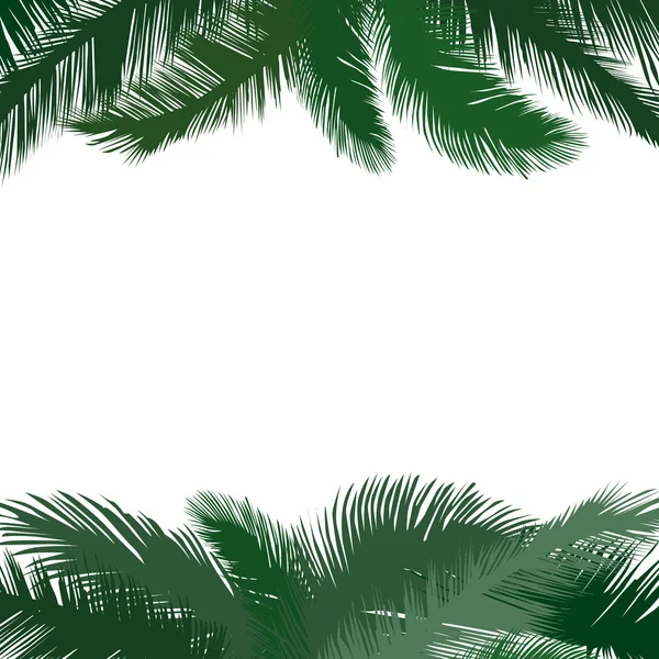 Palm feuilles cadre — Image vectorielle