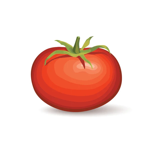 Tomate. Logotipo vegetal . — Archivo Imágenes Vectoriales