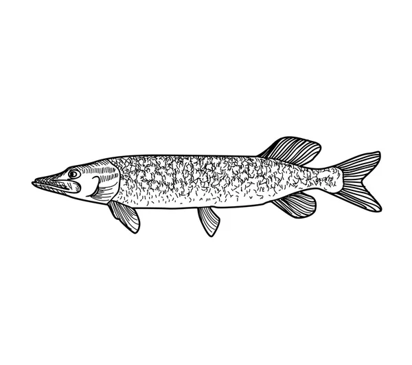 Ícone de gravação de peixe — Vetor de Stock