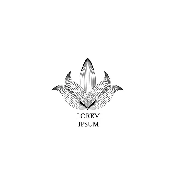 Plantillas Diseño Logotipo Floral Estilo Esquema Icono Flor Abstracta Para — Foto de Stock