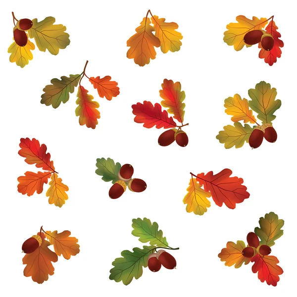 Herfst pictogramserie. herfst bladeren en bessen. — Stockvector