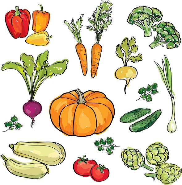 Uppsättning ekologiska livsmedel — Stock vektor