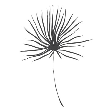 Minimalizm çizimi. Yaprak vektörü bir çizgi sanatı. Botanik Taslak Vektör Çizimi. Doğa vektörü çizimi. Posterler, duvar sanatı gibi ev dekorları için.