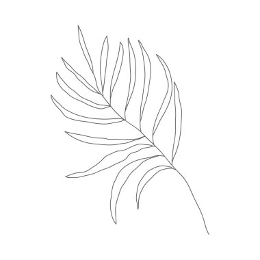 Minimalizm çizimi. Yaprak vektörü bir çizgi sanatı. Botanik Taslak Vektör Çizimi. Doğa vektörü çizimi. Posterler, duvar sanatı gibi ev dekorları için.