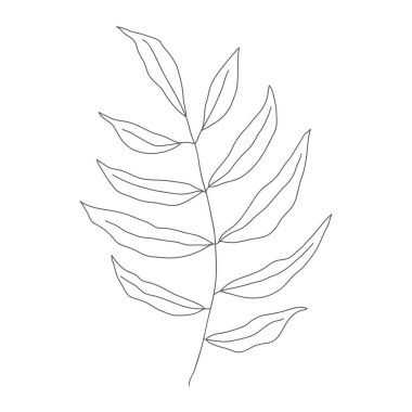 Minimalizm çizimi. Yaprak vektörü bir çizgi sanatı. Botanik Taslak Vektör Çizimi. Doğa vektörü çizimi. Posterler, duvar sanatı gibi ev dekorları için.
