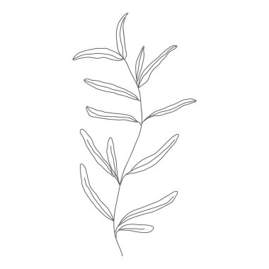 Minimalizm çizimi. Yaprak vektörü bir çizgi sanatı. Botanik Taslak Vektör Çizimi. Doğa vektörü çizimi. Posterler, duvar sanatı gibi ev dekorları için.