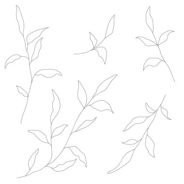 Minimalizm çizimi. Yaprak vektörü bir çizgi sanatı. Botanik Taslak Vektör Çizimi. Doğa vektörü çizimi. Posterler, duvar sanatı gibi ev dekorları için.