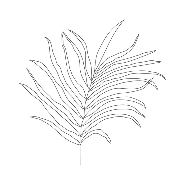 Minimalistische Linienzeichnung Blatt Vektor Eine Zeile Kunst Botanical Sketch Vector — Stockvektor