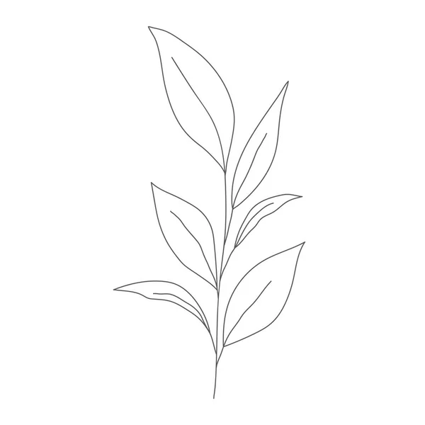 Desenho Linha Minimalista Folha Vetorial Uma Linha Arte Esboço Botânico — Vetor de Stock