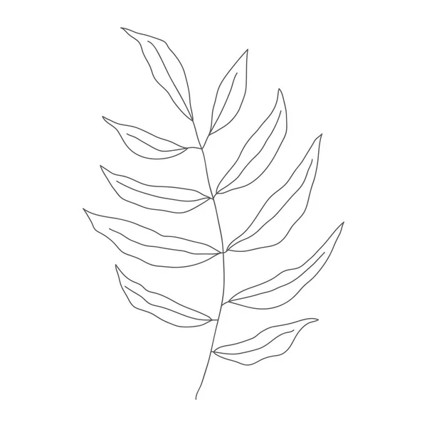 Desenho Linha Minimalista Folha Vetorial Uma Linha Arte Esboço Botânico — Vetor de Stock