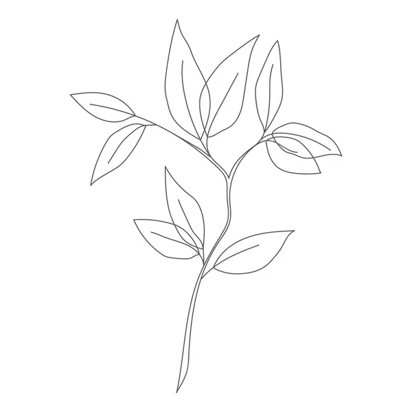 Minimalistisk Ritning Blad Vektor Linje Konst Botaniska Skiss Vektor Illustration — Stock vektor