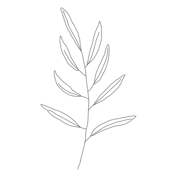 Minimalistisk Ritning Blad Vektor Linje Konst Botaniska Skiss Vektor Illustration — Stock vektor