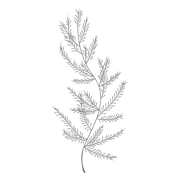 Minimalistisk Ritning Blad Vektor Linje Konst Botaniska Skiss Vektor Illustration — Stock vektor