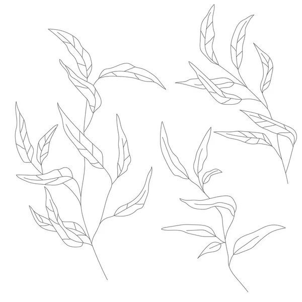 Minimalismo Línea Dibujo Hoja Vector Una Línea Arte Botanical Sketch — Vector de stock