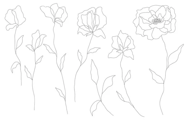 Minimalistisk Ritning Blad Vektor Linje Konst Botaniska Skiss Vektor Illustration — Stock vektor