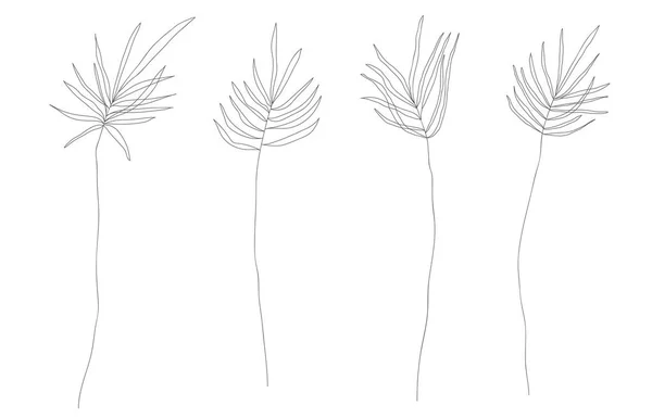 Minimalismo Línea Dibujo Hoja Vector Una Línea Arte Botanical Sketch — Vector de stock