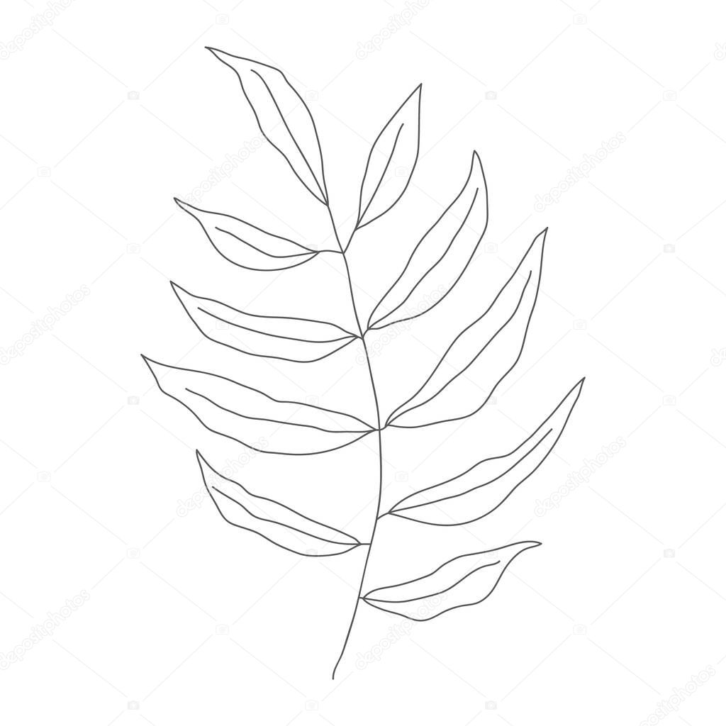 Minimalism line drawing. leaf vector one line art. Botanical Sketch Vector Illustration. Nature vector Line drawing. for home decor such as posters, wall art