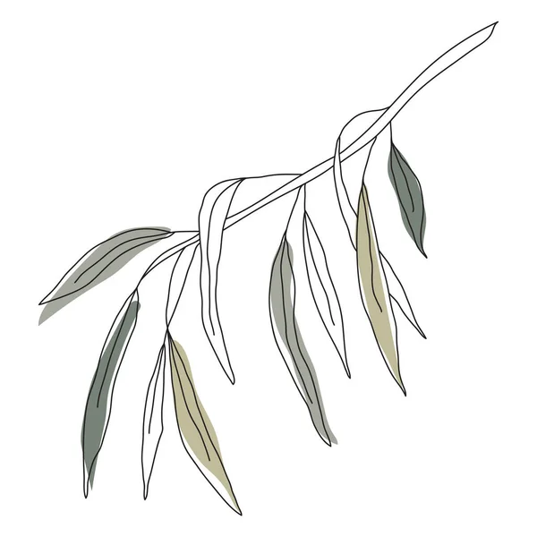 Palm Leaf Line Art Konturritning Minimalistisk Konst Modern Inredning Väggkonst — Stock vektor