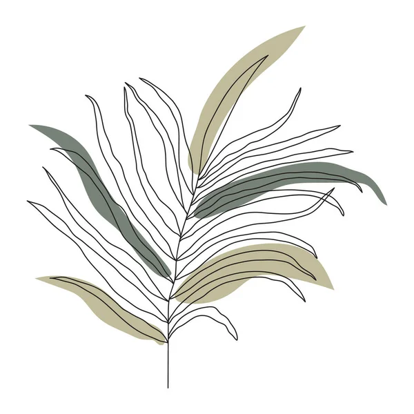 Τέχνη Από Φύλλα Φοίνικα Σχέδιο Περιγράμματος Μινιμαλιστική Τέχνη Μοντέρνα Διακόσμηση — Διανυσματικό Αρχείο