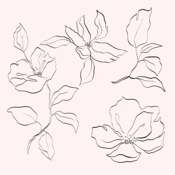 Fleur Vectorielle Isolée Élément Pour Conception Lignes Traits Contour Dessinés — Image vectorielle