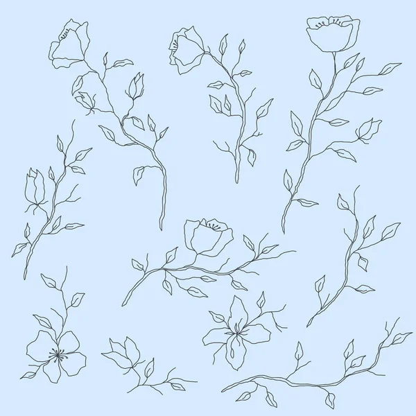 Fleur Vectorielle Isolée Élément Pour Conception Lignes Traits Contour Dessinés — Image vectorielle